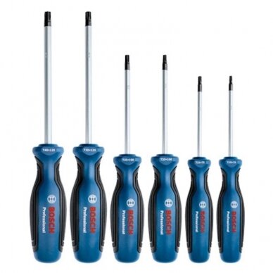 6 dalių atsuktuvų rinkinys BOSCH Torx 1