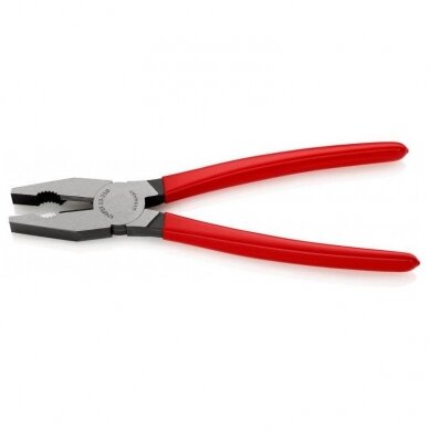 Kombinuotos replės KNIPEX 0301 250 mm 2