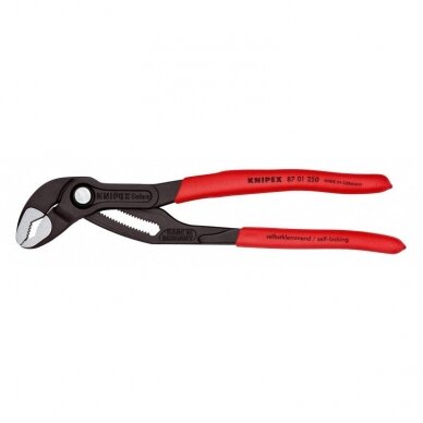 Vamzdinės replės KNIPEX Cobra 8701 250mm